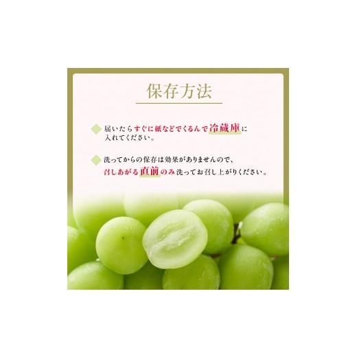 ふるさと納税 ぶどう マスカット 長野県 長野市 2026年産ぶどう シャインマスカット 約4kg 6〜12房入り 葡萄 ブドウ シャイン マスカット 果物 フルーツ デザ…の画像