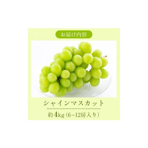 ふるさと納税 ぶどう マスカット 長野県 長野市 2026年産ぶどう シャインマスカット 約4kg 6〜12房入り 葡萄 ブドウ シャイン マスカット 果物 フルーツ デザ…の画像