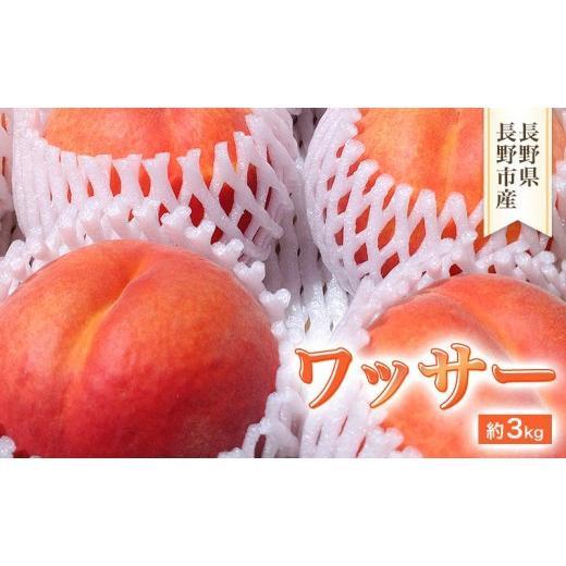 ふるさと納税 果物類 長野県 長野市 2026年発送 長野市産 ワッサー 約3kg