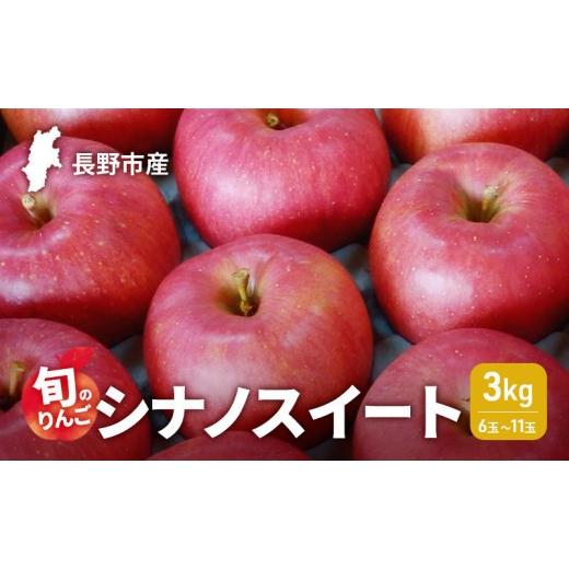 ふるさと納税 りんご 長野県 長野市 2026年発送 長野市産 旬のりんご シナノスイート3kg 6玉〜11玉 りんご リンゴ 果物 フルーツ 秋