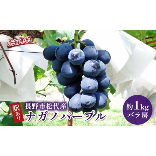 ふるさと納税 ぶどう 長野県 長野市 ぶどう 訳あり 長野市松代産 ナガノパープル 約1kg バラ房 果物 ブドウ 葡萄 フルーツ デザート おやつ 種なし TAKANO農園…
