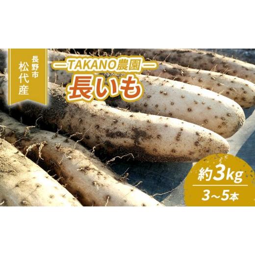 ふるさと納税 野菜類 長野県 長野市 長野市松代産 TAKANO農園 長いも 約3kg(訳あり) 3〜5本 野菜 根菜 長野県産 ネバネバ シャキシャキ とろろご飯 具材 食材…