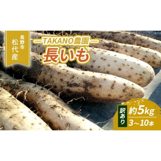 ふるさと納税 野菜類 長野県 長野市 長野市松代産 TAKANO農園 長いも 約5kg(訳あり) 3〜10本 野菜 根菜 長野県産 ネバネバ シャキシャキ とろろご飯 具材 …
