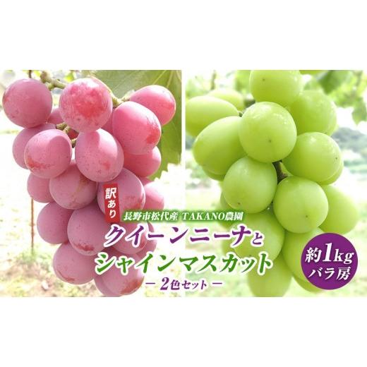 ふるさと納税 ぶどう マスカット 長野県 長野市 ぶどう 訳あり 先行予約 シャインマスカット クイーンニーナ 計約1kg 種なし 不揃い