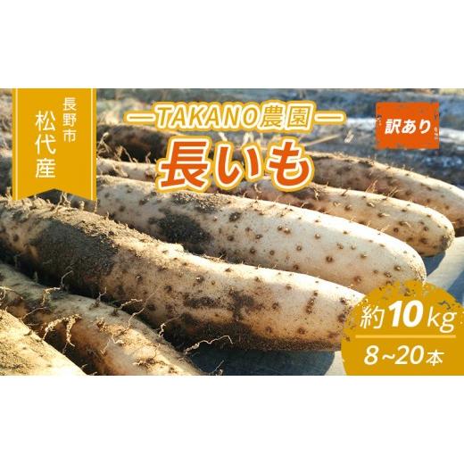 ふるさと納税 野菜類 長野県 長野市 長野市松代産 TAKANO農園 長いも 約10kg(訳あり) 8〜20本 長芋 ながいも