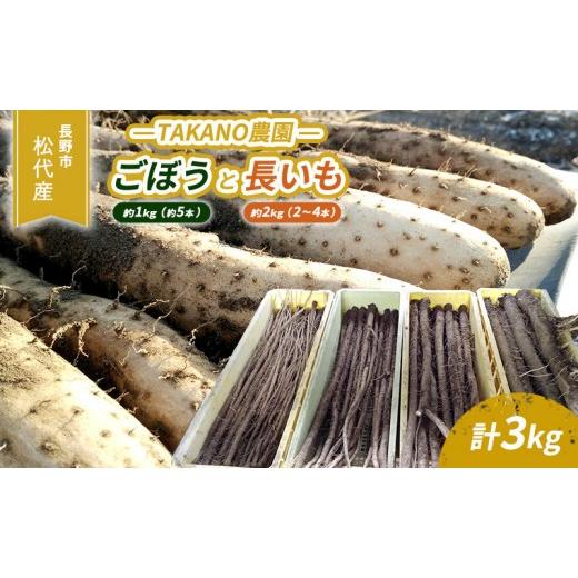 ふるさと納税 野菜類 長野県 長野市 長野市松代産 TAKANO農園 ごぼう(約1kg) 約5本 と長いも(約2kg) 2〜4本 計3kg 野菜 根菜 長野県産 ネバネバ シャキシ…