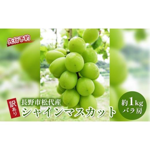 ふるさと納税 ぶどう マスカット 長野県 長野市 長野市松代産 訳ありシャインマスカット 約1kg(バラ房)
