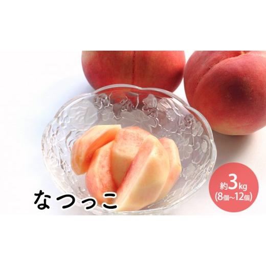 ふるさと納税 もも 長野県 長野市 なつっこ約3kg(8個〜12個)