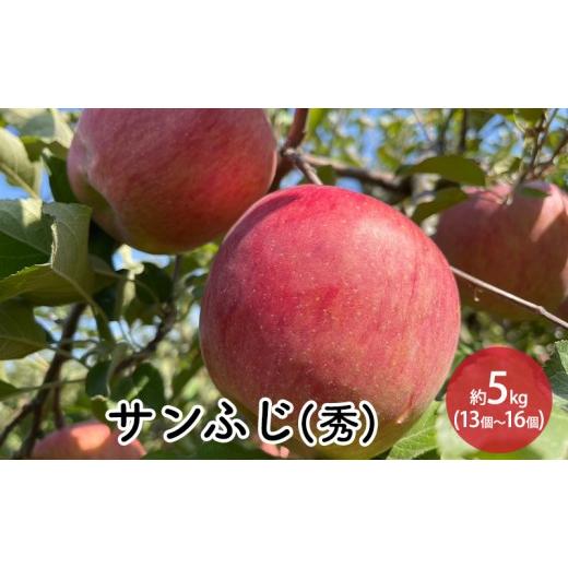 ふるさと納税 りんご 長野県 長野市 信州りんご・サンふじ(秀)約5kg(12個〜16個)