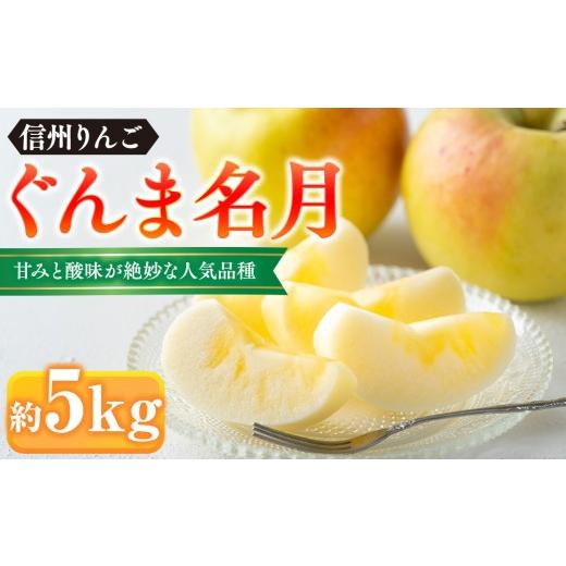 ふるさと納税 りんご 長野県 長野市 ぐんま名月約5kg(12個〜18個) | りんご フルーツ 果物 旬 ぐんま名月 人気 おすすめ ギフト プレゼント 送料無料 長野県…