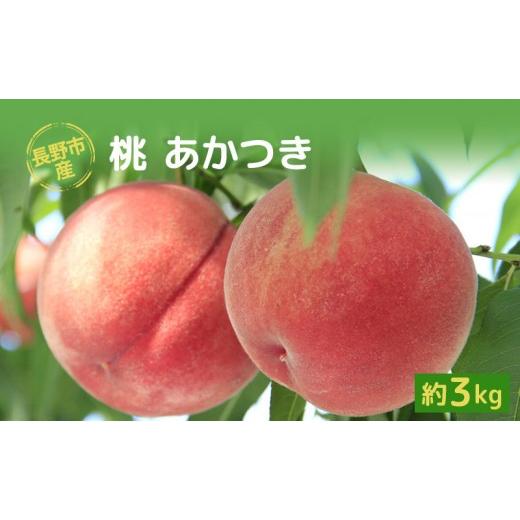 ふるさと納税 もも 長野県 長野市 長野市産桃「あかつき」約3kg(8-10個)