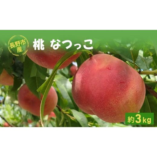 ふるさと納税 もも 長野県 長野市 長野市産桃「なつっこ」約3kg(8~10個)