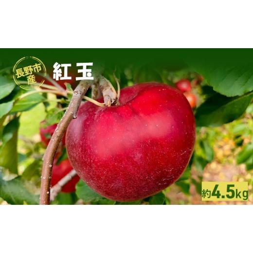 ふるさと納税 りんご 長野県 長野市 長野市産「紅玉」約4.5kg (18〜22玉)