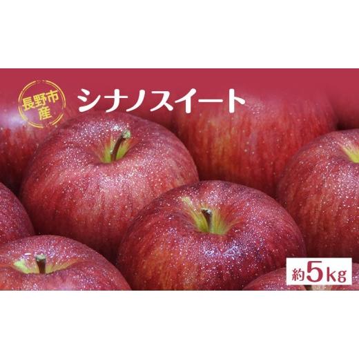 ふるさと納税 りんご 長野県 長野市 長野市産「シナノスイート」約5kg (11~16玉)