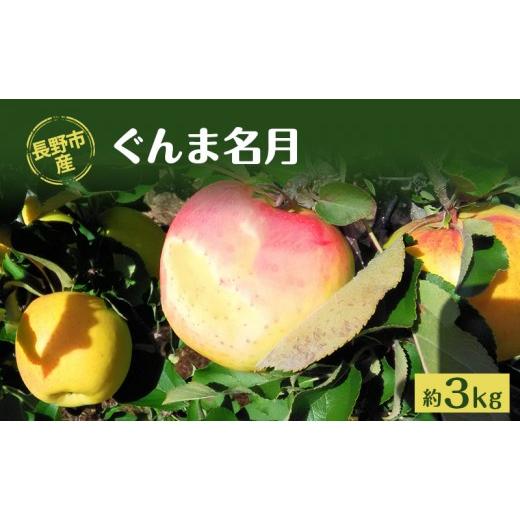 ふるさと納税 りんご 長野県 長野市 長野市産「ぐんま名月」約3kg(8〜10玉)