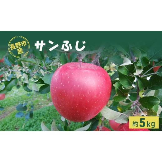 ふるさと納税 りんご 長野県 長野市 牧野果樹園 長野市産「サンふじ」約5kg(10〜18玉) | りんご フルーツ 果物 林檎 リンゴ アップル くだもの サンふじ 人…