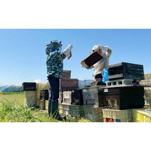 ふるさと納税 加工品等 はちみつ 長野県 長野市 百花蜜 200g３本の画像