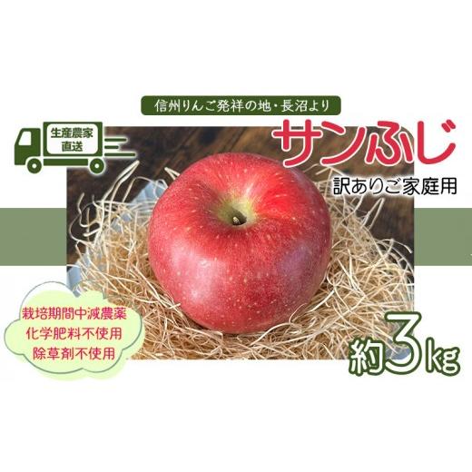 ふるさと納税 りんご 長野県 長野市 生産農家直送 人にやさしい 長沼りんご・サンふじ3kg(ご家庭用)