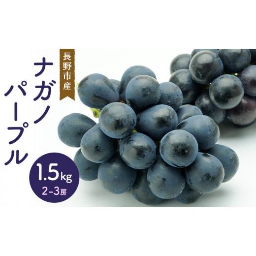 ふるさと納税 果物類 ぶどう 長野県 長野市 ナガノパープル 1.5kg 2-3房