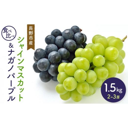 ふるさと納税 ぶどう マスカット 長野県 長野市 セット シャインマスカット&ナガノパープル 1.5kg 2-3房