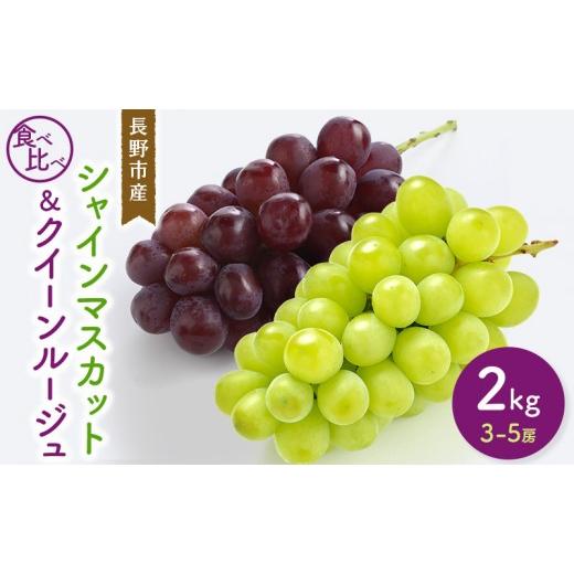 ふるさと納税 果物類 ぶどう 長野県 長野市 シャインマスカット&クイーンルージュ2kg 3-5房