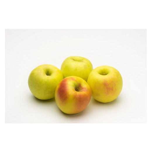 ふるさと納税 りんご 長野県 長野市 ぐんま名月3kg