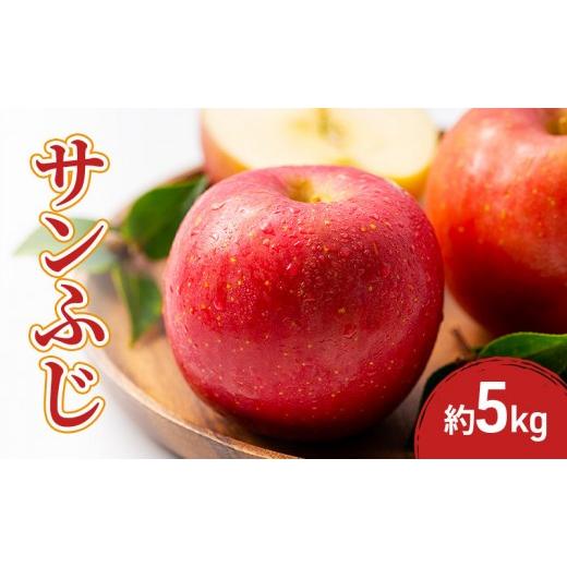 ふるさと納税 りんご 長野県 長野市 2026年産先行予約サンふじ 5kg 果物 フルーツ りんご 長野県