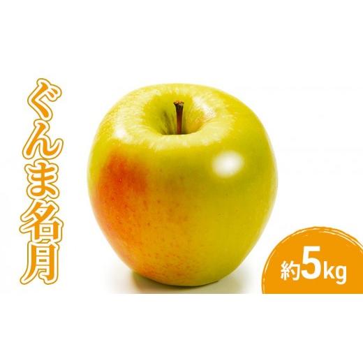 ふるさと納税 りんご 長野県 長野市 2026年産先行予約ぐんま名月5kg 果物 フルーツ りんご 長野県