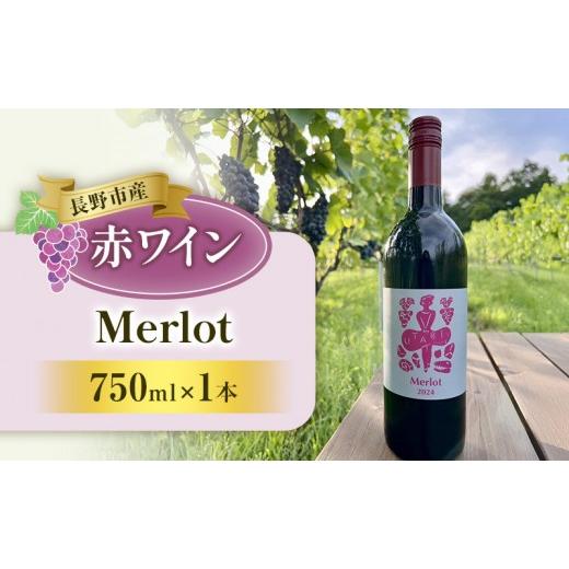 ふるさと納税 ワイン 長野県 長野市 Merlot (ワイン)