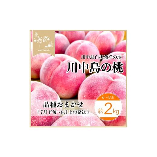 ふるさと納税 もも 長野県 長野市 先行予約 川中島の桃 約2kg 品種おまかせ 7月下旬〜8月上旬発送予定