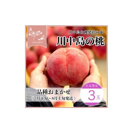 ふるさと納税 もも 長野県 長野市 先行予約 川中島の桃 大玉3玉 品種おまかせ 7月下旬〜8月上旬発送予定