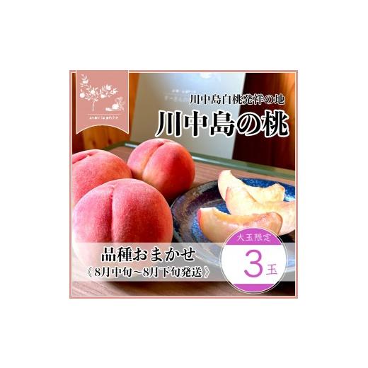 ふるさと納税 もも 長野県 長野市 先行予約 川中島の桃 大玉3玉 品種おまかせ 8月中旬〜8月下旬発送予定