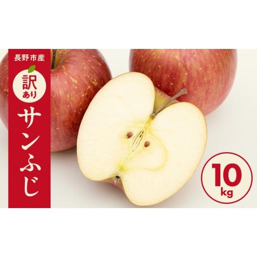 ふるさと納税 りんご 長野県 長野市 紅玉屋 長野市産 訳あり サンふじ10kg 2026年12月上旬以降の出荷分 (紅玉屋) | りんご フルーツ 果物 サンふじ 訳あり …