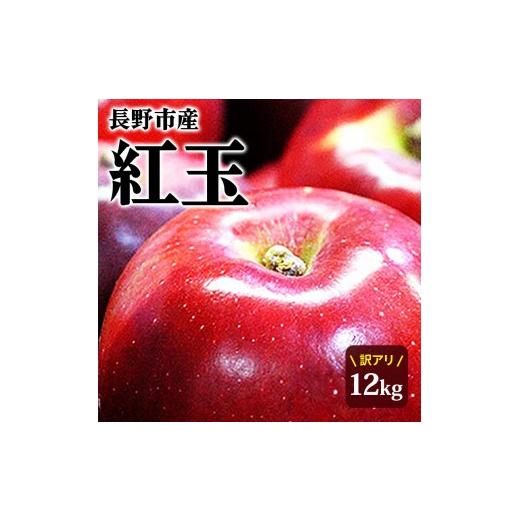ふるさと納税 りんご 長野県 長野市 紅玉訳アリ12kg りんご 長野市産 フルーツ 2026年9月下旬以降の出荷