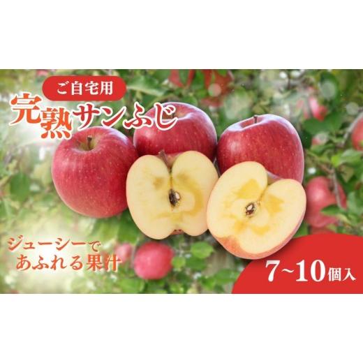 ふるさと納税 りんご 長野県 長野市 2026年産 ご自宅用 完熟サンふじ 7-10個入り リンゴ フルーツ 果物 デザート 信州 長野市
