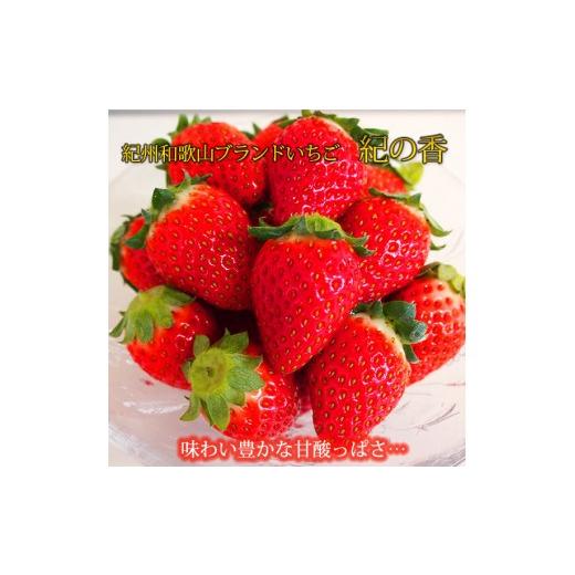 ふるさと納税 いちご 和歌山県 印南町 紀州和歌山ブランドいちご「紀の香」約250g×4P [UT143]
