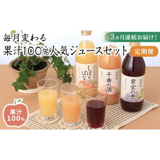 ふるさと納税 果汁飲料 りんご 長野県 長野市 3ヵ月連続お届け 毎月変わる果汁100%人気ジュースセット定期便