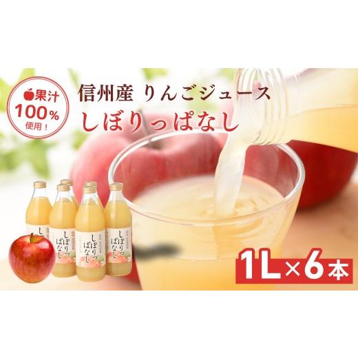 ふるさと納税 果汁飲料 りんご 長野県 長野市 信州産 りんごジュース 「しぼりっぱなし」 果汁100% (1L×6本)