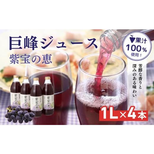 ふるさと納税 果汁飲料 ぶどう 長野県 長野市 信州産 巨峰ジュース 果汁100% 「紫宝の恵」 (1L×4本)