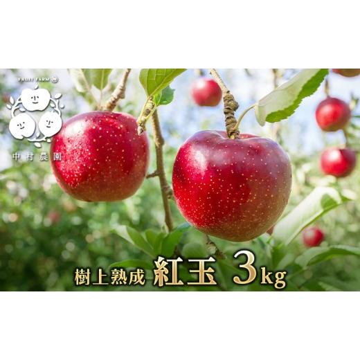 ふるさと納税 りんご 長野県 長野市 9月下旬発送 先行予約 樹上熟成 紅玉 3kg