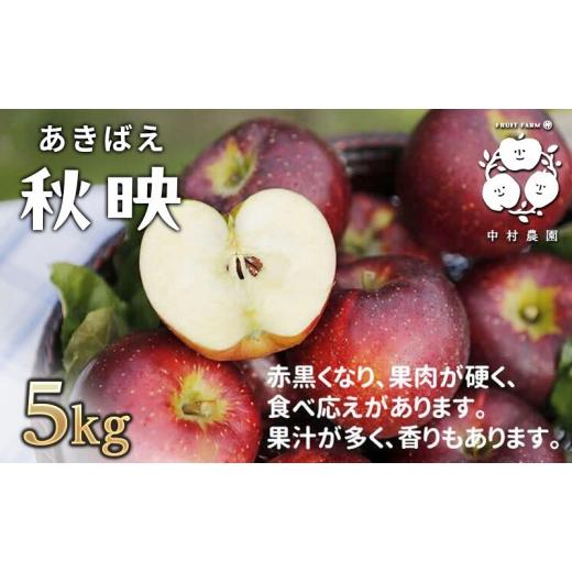 ふるさと納税 りんご 長野県 長野市 10月上旬発送 先行予約 樹上熟成 秋映 5kg