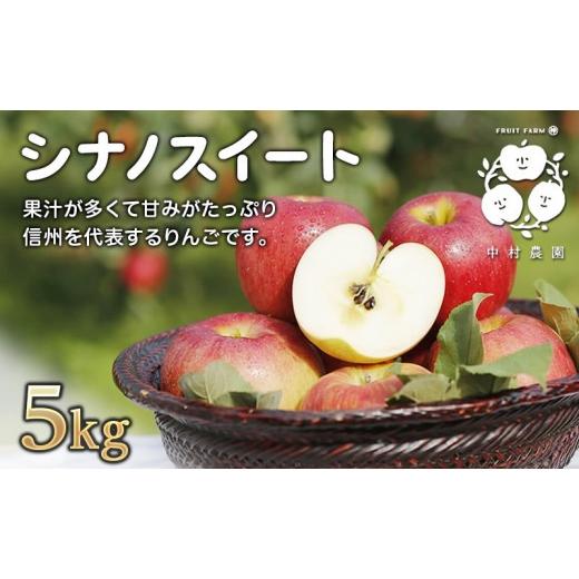 ふるさと納税 りんご 長野県 長野市 10月中旬発送 先行予約 樹上熟成 シナノスイート 5kg
