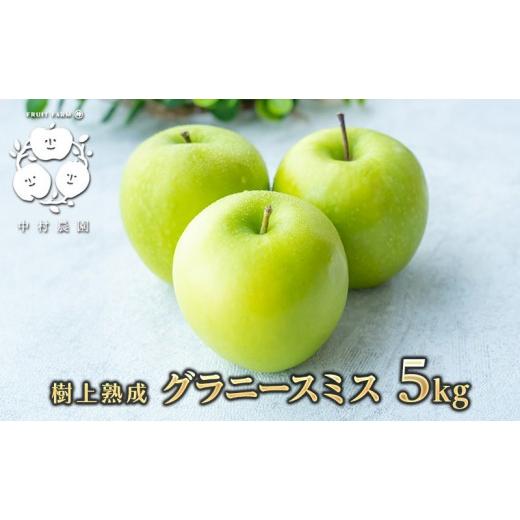 ふるさと納税 りんご 長野県 長野市 10月下旬発送 先行予約 樹上熟成 グラニースミス 5kg