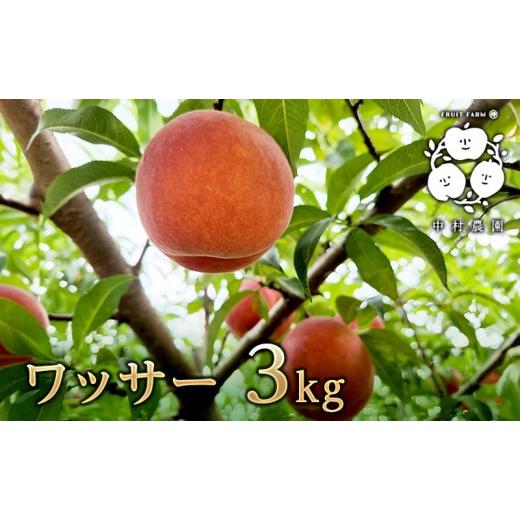 ふるさと納税 もも 長野県 長野市 8月下旬発送 先行予約 ワッサー 3kg