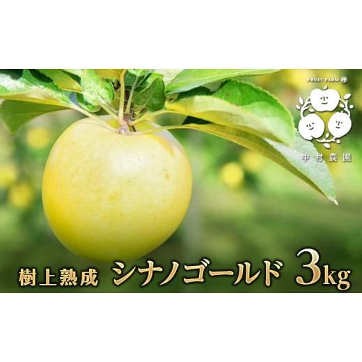 ふるさと納税 りんご 長野県 長野市 10月中旬発送 先行予約 樹上熟成 シナノゴールド 3kg