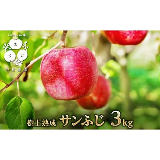 ふるさと納税 りんご 長野県 長野市 11月下旬発送 先行予約 樹上熟成 サンふじ 3kg