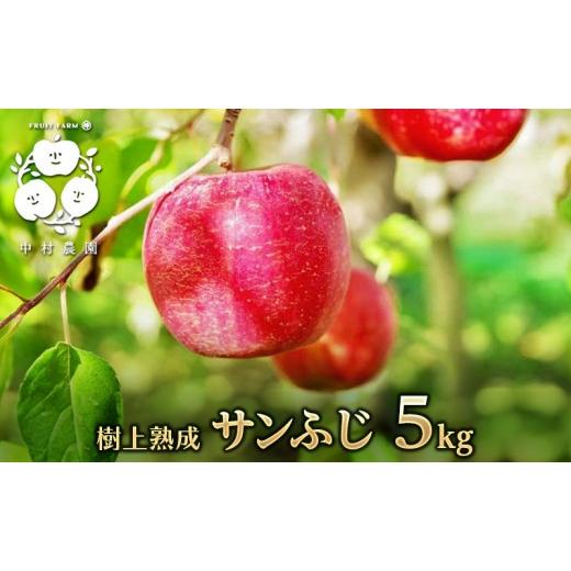 ふるさと納税 りんご 長野県 長野市 フルーツファーム中村農園 11月下旬発送 先行予約 樹上熟成 サンふじ 5kg | りんご サンふじ 糖度 酸味 林檎 人気 おす…