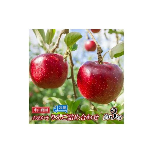 ふるさと納税 りんご 長野県 長野市 米山農園のおまかせりんご(シナノリップまたはサンつがる・シナノドルチェ・紅玉など)約3kg 8月から順次発送