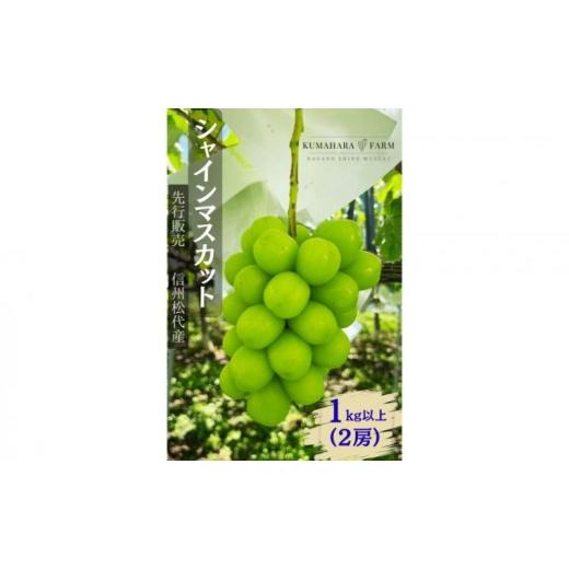 ふるさと納税 ぶどう マスカット 長野県 長野市 長野市シャインマスカット 1kg以上