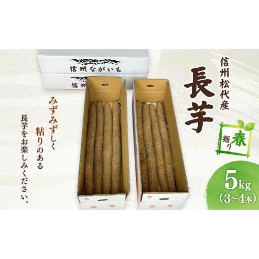 ふるさと納税 野菜類 長野県 長野市 長芋(春堀り)5kg